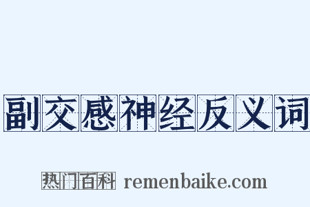 副交感神经反义词是什么意思的图片